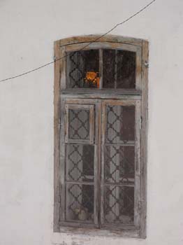 P1090384